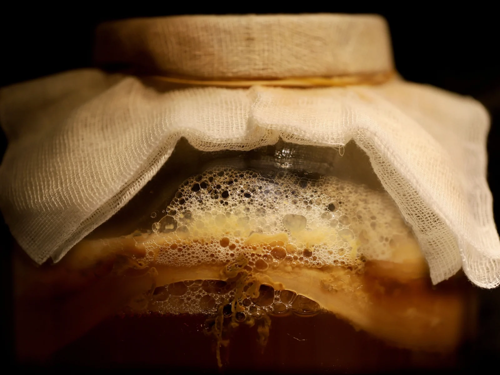 Brew Your Own Kombucha: Inside the Growing Trend