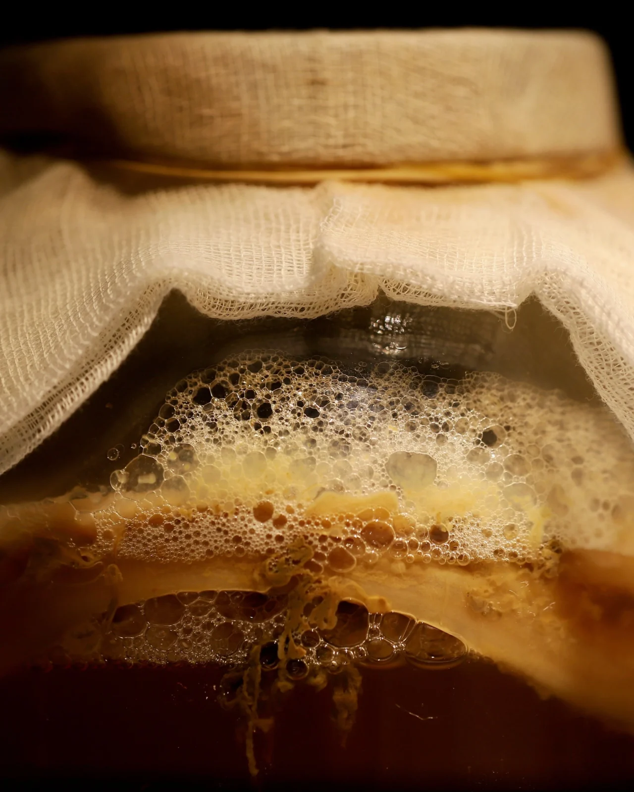 Brew Your Own Kombucha: Inside the Growing Trend