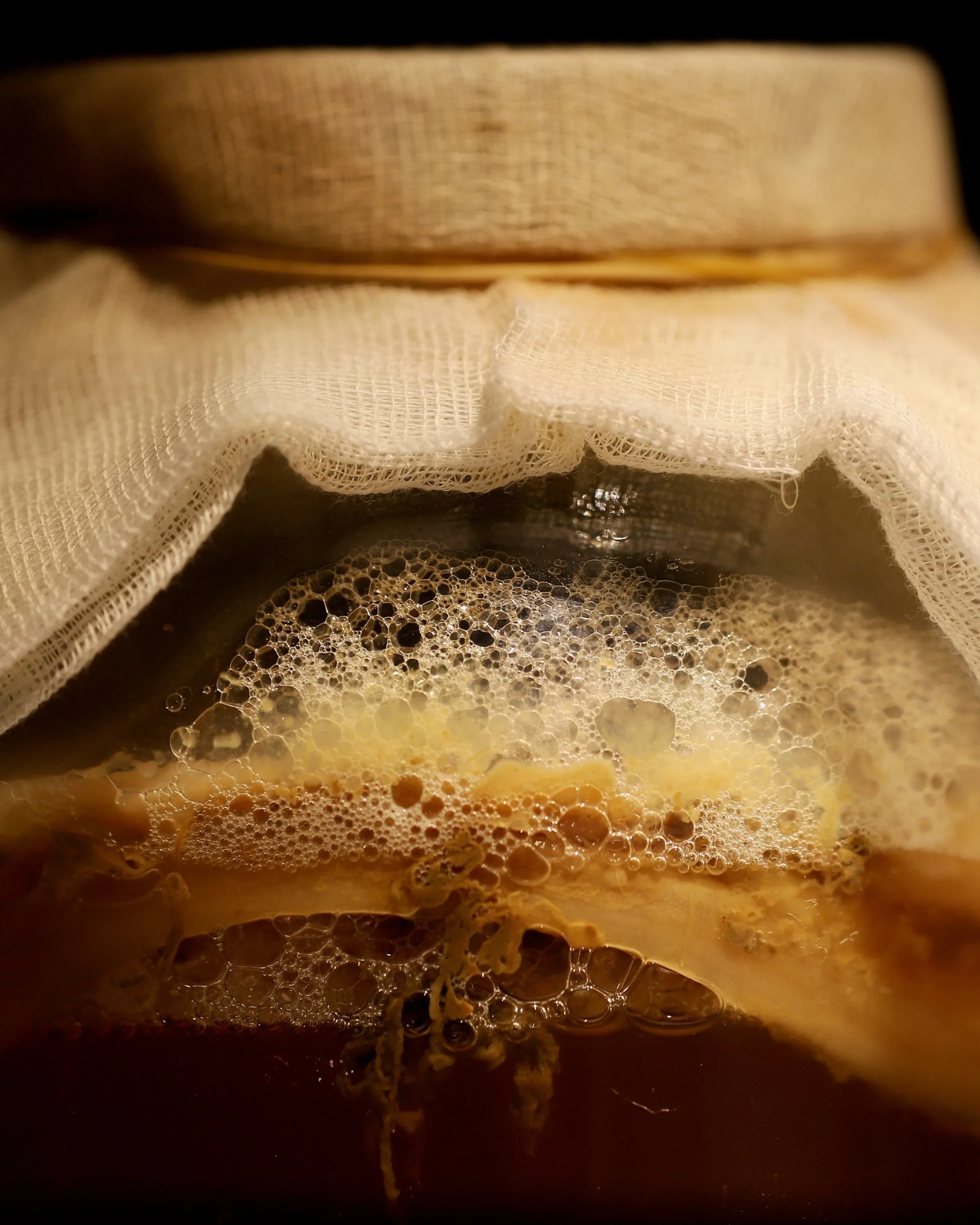 Brew Your Own Kombucha: Inside the Growing Trend