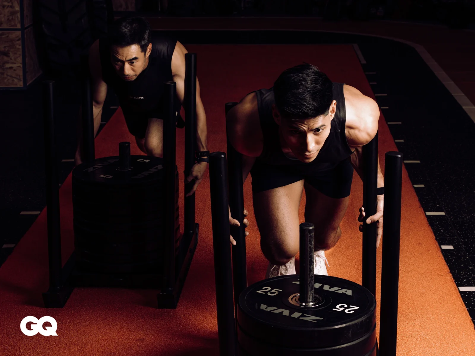 FITNESS-Pain--Gain-Landscape