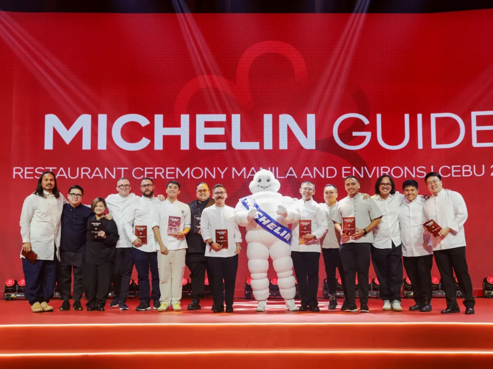 LANDSCAPE Michelin